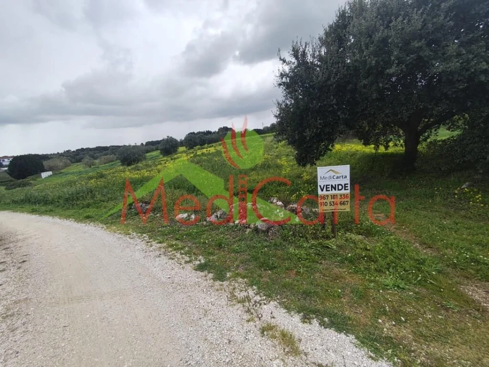 Terreno para Venda em Cartaxo e Vale da Pinta Foto 14