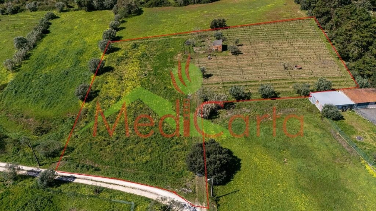 Terreno para Venda em Cartaxo e Vale da Pinta Foto 6