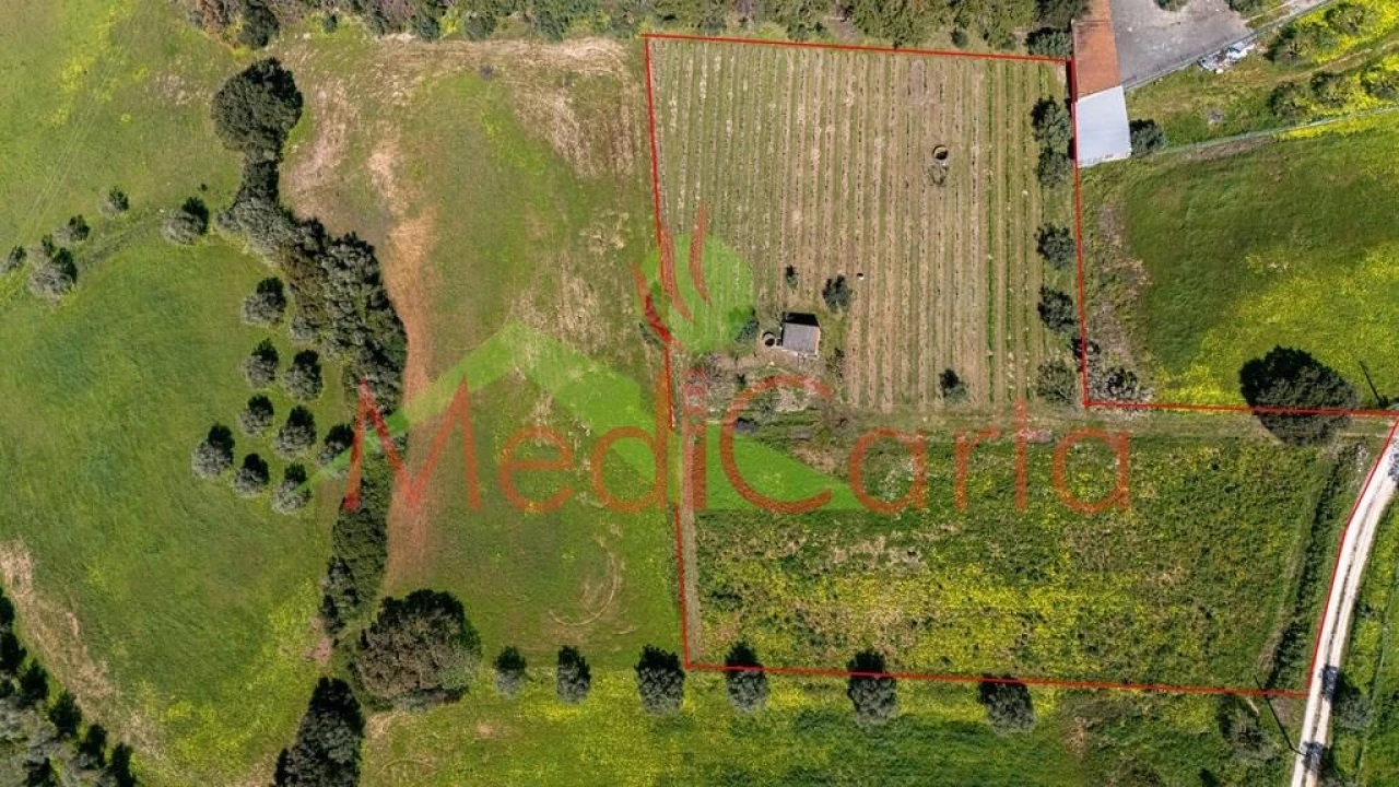 Terreno para Venda em Cartaxo e Vale da Pinta Foto 8