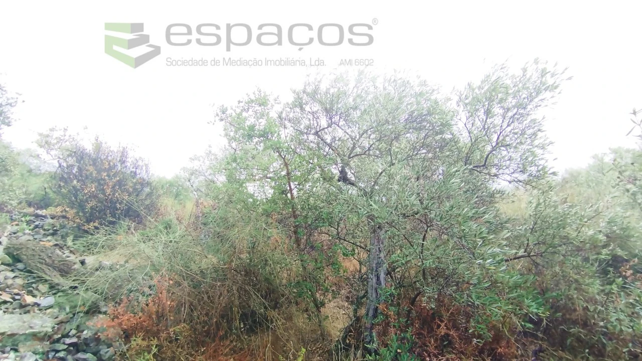 Moradia T2 para Venda em Monforte da Beira Foto 30