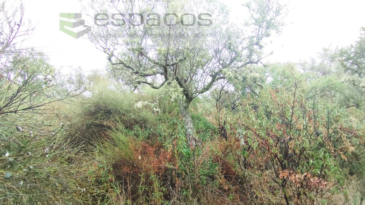 Moradia T2 para Venda em Monforte da Beira Foto 31