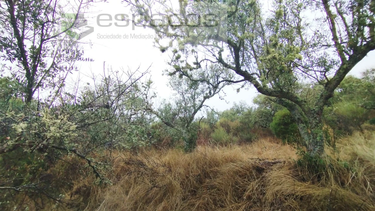 Moradia T2 para Venda em Monforte da Beira Foto 32