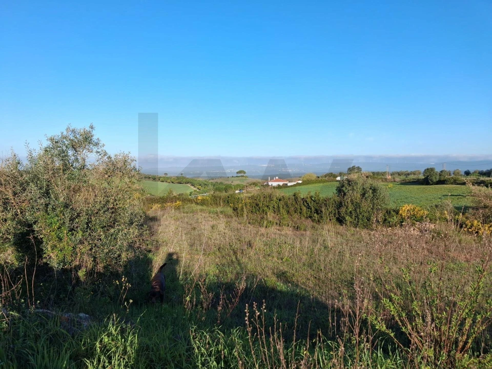 Moradia T3 para Venda em Abitureiras Foto 33