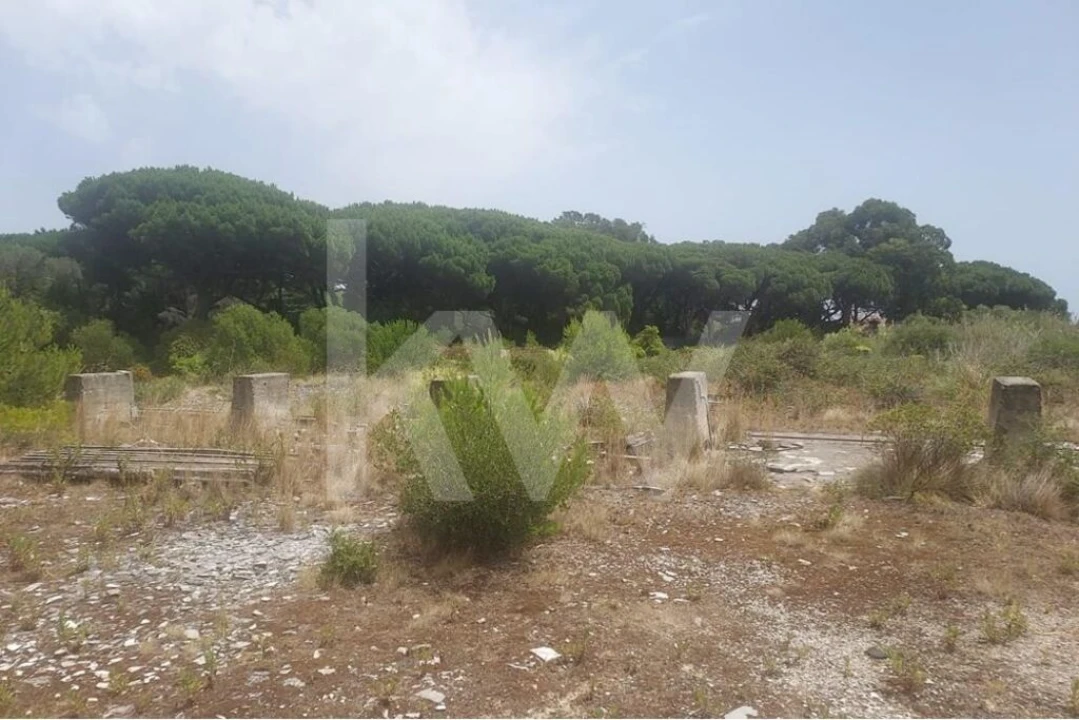 Armazém para Venda em Alcabideche Foto 17