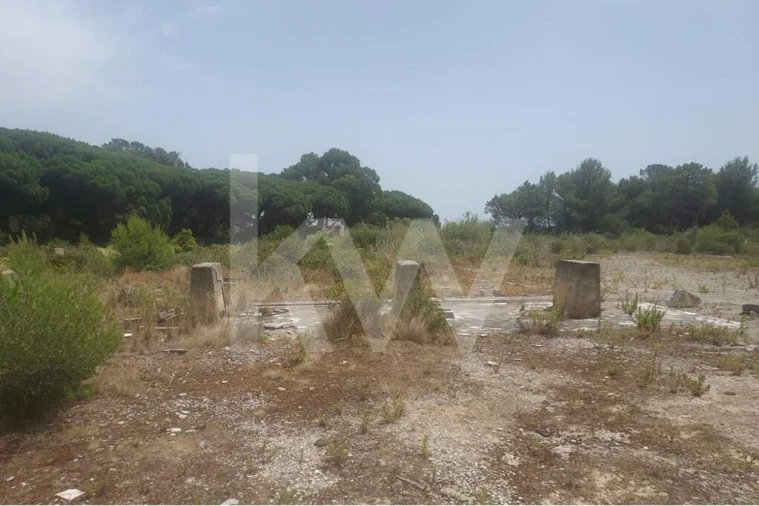 Armazém para Venda em Alcabideche Foto 11