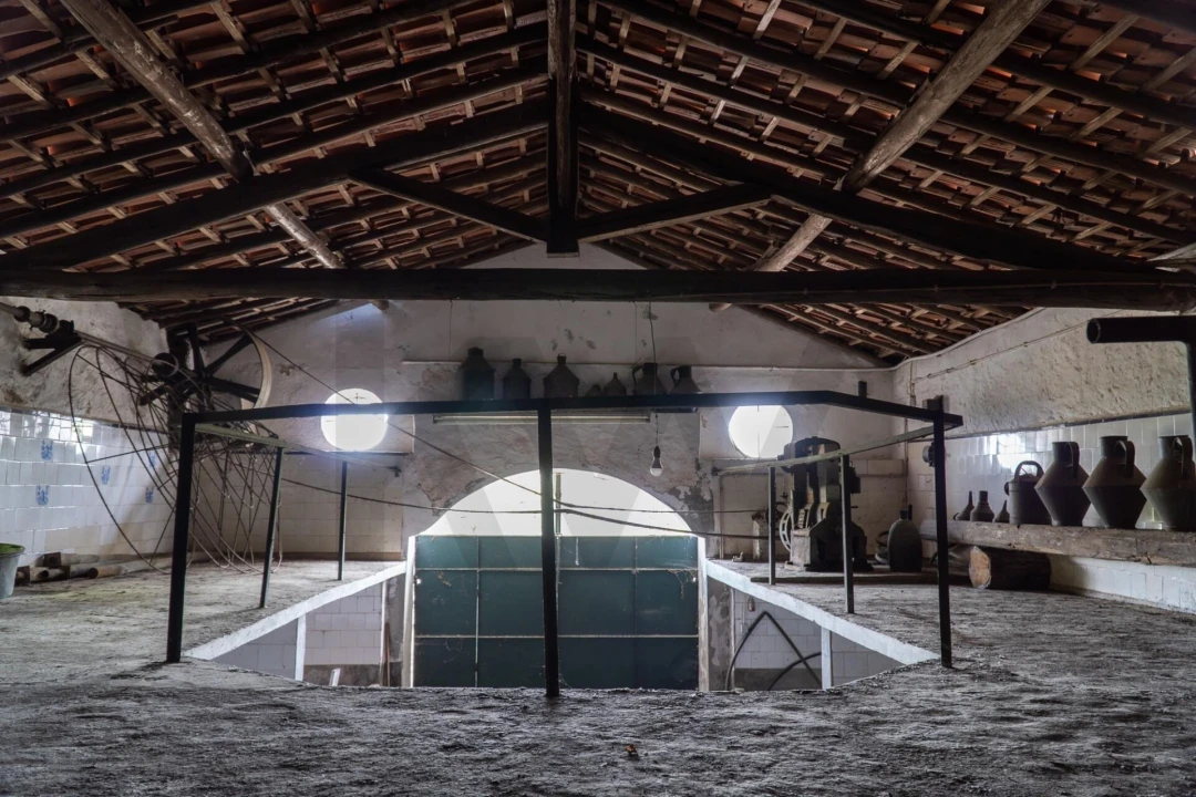 Quinta T9 para Venda em Lamas Foto 42