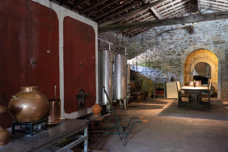 Quinta T9 para Venda em Lamas Foto 44