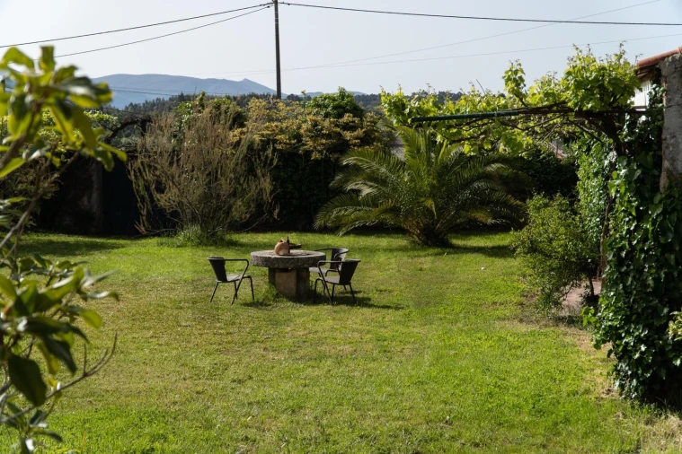 Quinta T9 para Venda em Lamas Foto 30