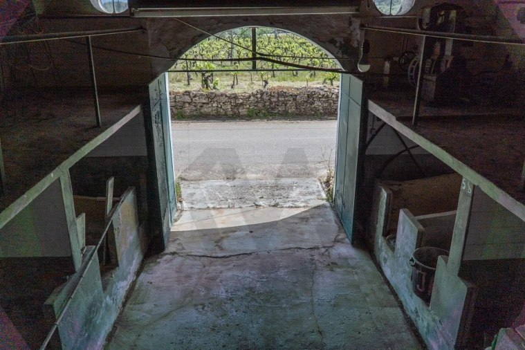 Quinta T9 para Venda em Lamas Foto 40