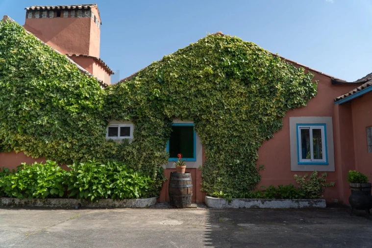 Quinta T9 para Venda em Lamas Foto 23