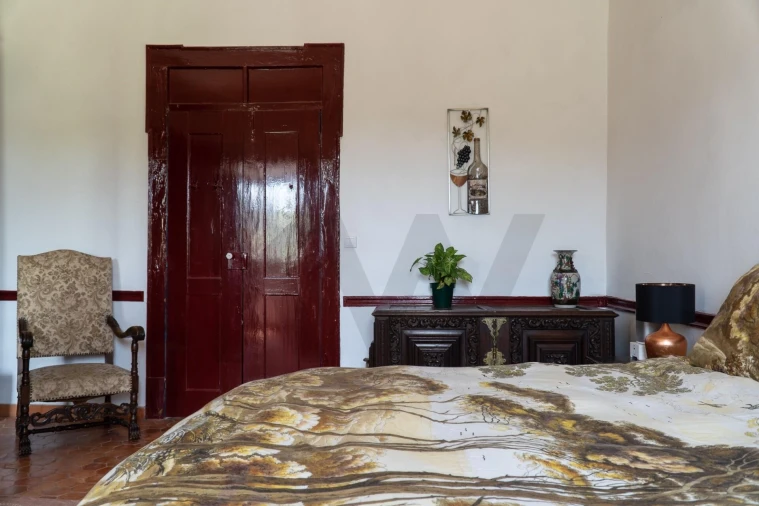 Quinta T9 para Venda em Lamas Foto 4