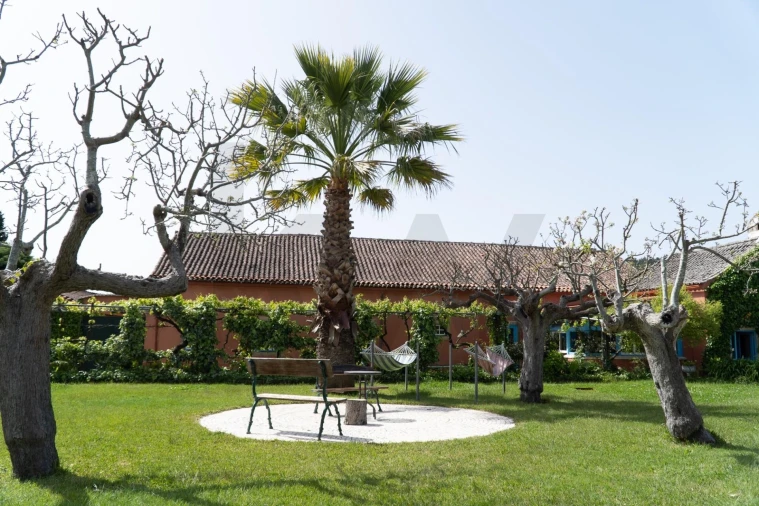 Quinta T9 para Venda em Lamas Foto 26