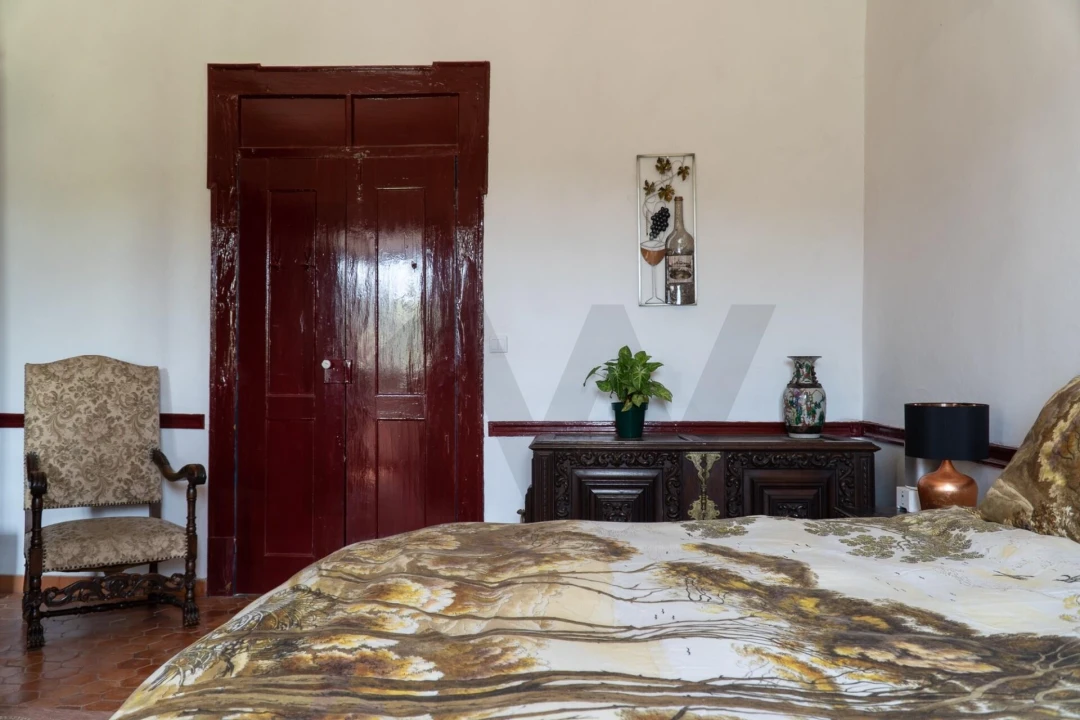 Quinta T9 para Venda em Lamas Foto 4