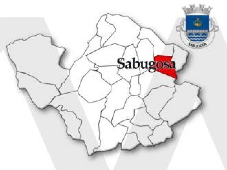 Terreno para Venda em São Miguel do Outeiro e Sabugosa Foto 5