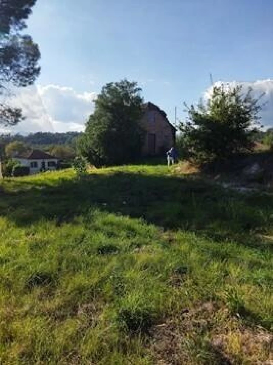 Terreno para Venda em São Miguel do Outeiro e Sabugosa Foto 2