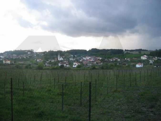 Terreno para Venda em São Miguel do Outeiro e Sabugosa Foto 7