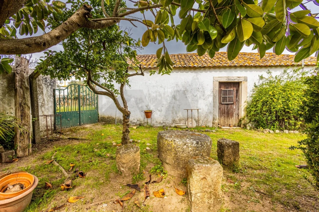 Moradia T5 para Venda em São Vicente do Paul e Vale de Figueira Foto 47