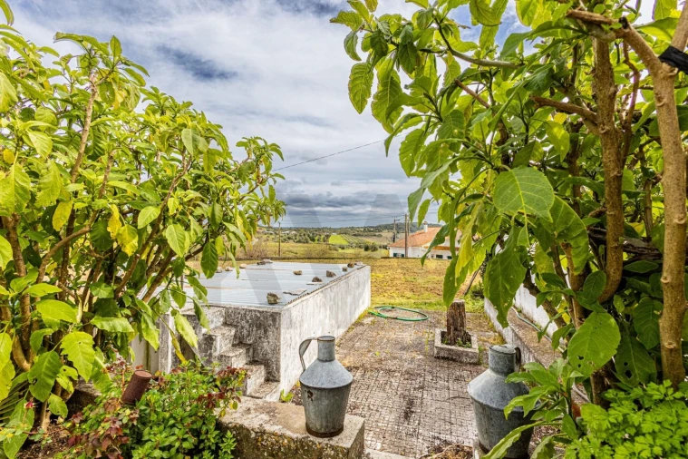 Moradia T5 para Venda em São Vicente do Paul e Vale de Figueira Foto 40