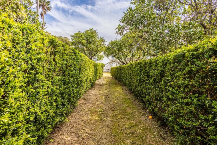 Moradia T5 para Venda em São Vicente do Paul e Vale de Figueira Foto 42