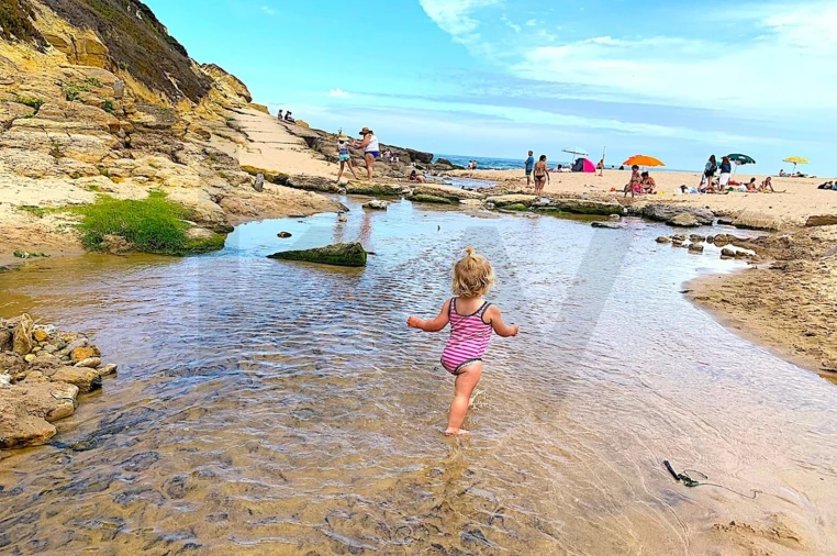 Terreno para Venda em Santa Maria e São Miguel, São Martinho, São Pedro Penaferrim Foto 26