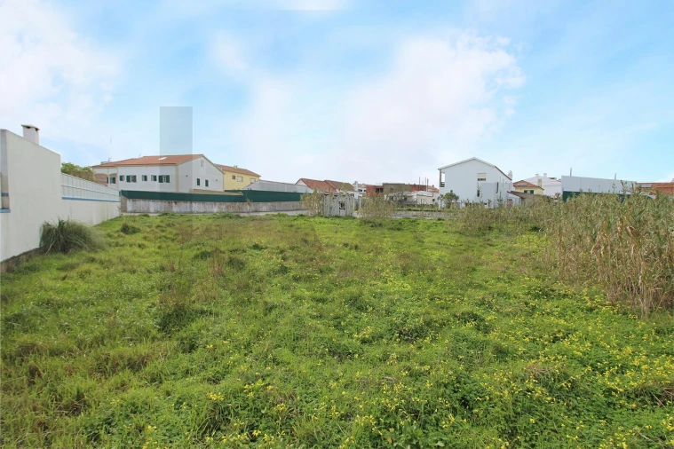 Terreno para Venda em Santa Maria e São Miguel, São Martinho, São Pedro Penaferrim Foto 6