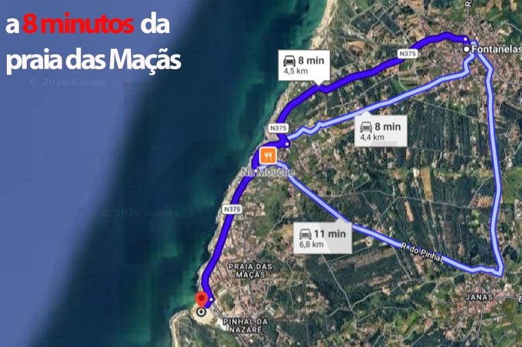 Terreno para Venda em Santa Maria e São Miguel, São Martinho, São Pedro Penaferrim Foto 25