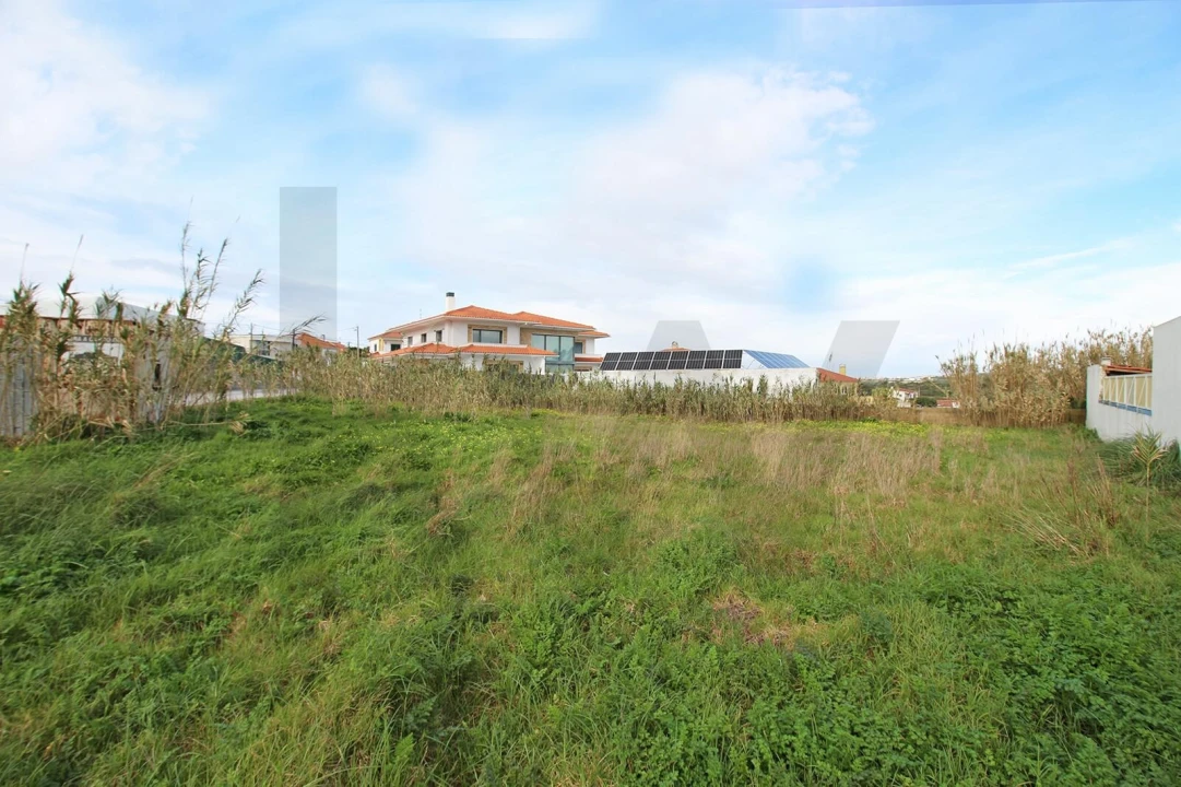 Terreno para Venda em Santa Maria e São Miguel, São Martinho, São Pedro Penaferrim Foto 7