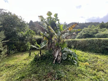 Moradia T3 para Venda em Lomba da Fazenda