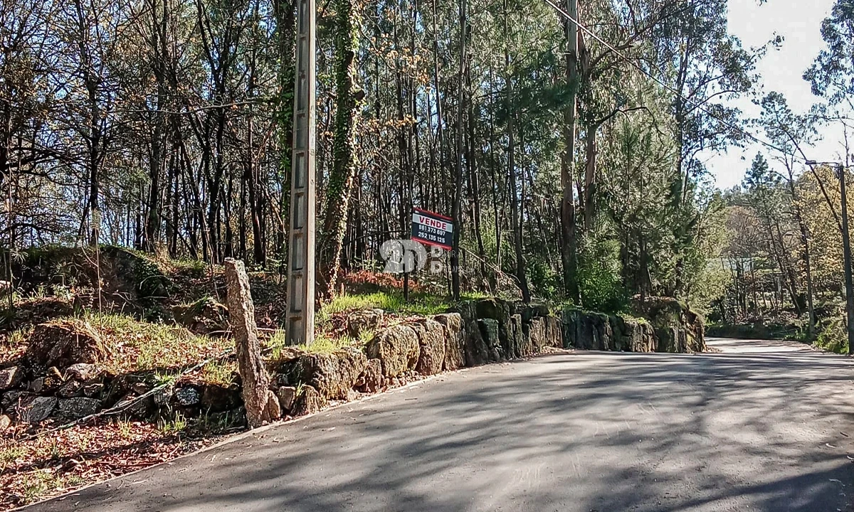 Terreno para Venda em Arnoso (Santa Maria e Santa Eulália) e Sezures Foto 15