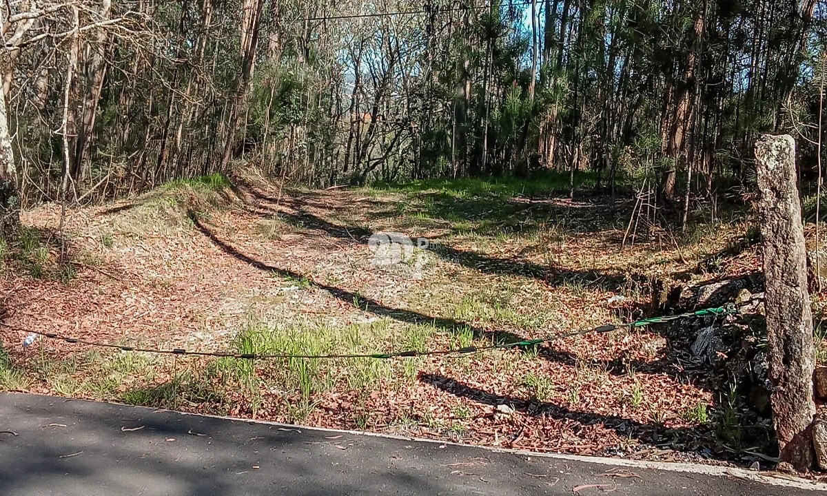Terreno para Venda em Arnoso (Santa Maria e Santa Eulália) e Sezures Foto 13