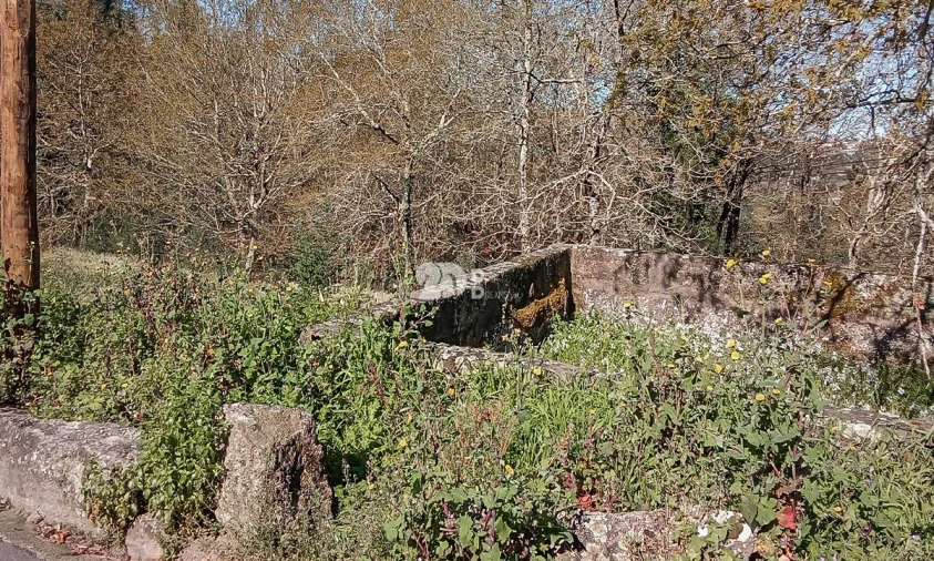 Terreno para Venda em Arnoso (Santa Maria e Santa Eulália) e Sezures Foto 8