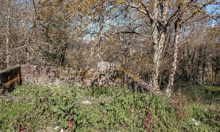 Terreno para Venda em Arnoso (Santa Maria e Santa Eulália) e Sezures Foto 7