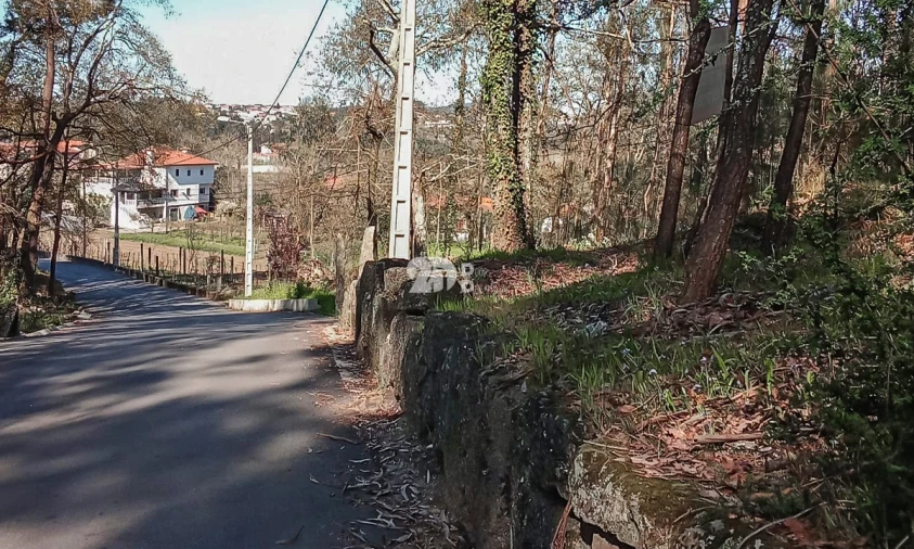 Terreno para Venda em Arnoso (Santa Maria e Santa Eulália) e Sezures Foto 14