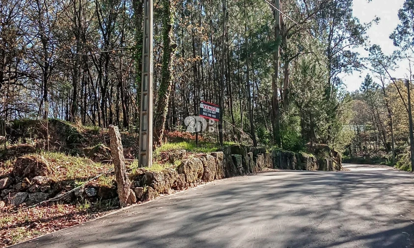Terreno para Venda em Arnoso (Santa Maria e Santa Eulália) e Sezures Foto 15