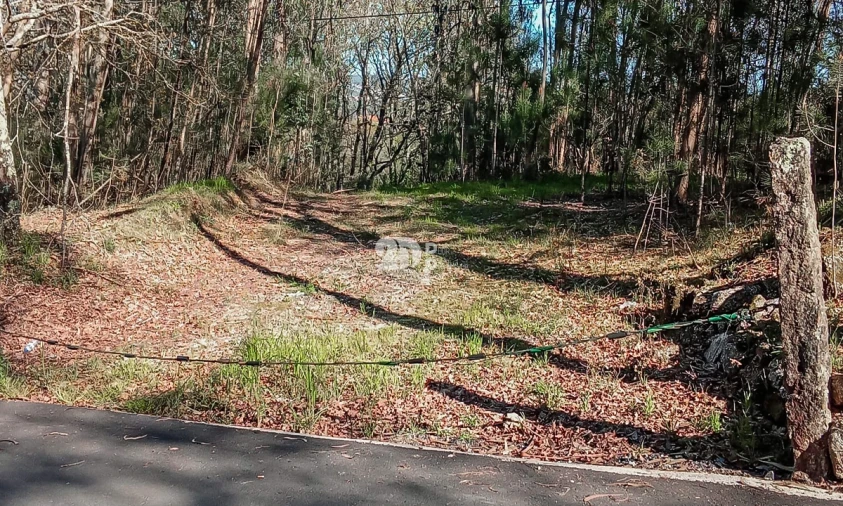 Terreno para Venda em Arnoso (Santa Maria e Santa Eulália) e Sezures Foto 13