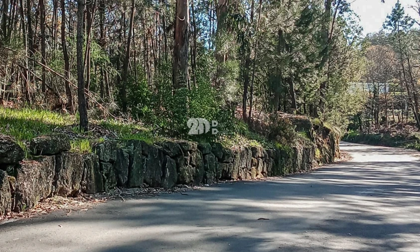 Terreno para Venda em Arnoso (Santa Maria e Santa Eulália) e Sezures Foto 11