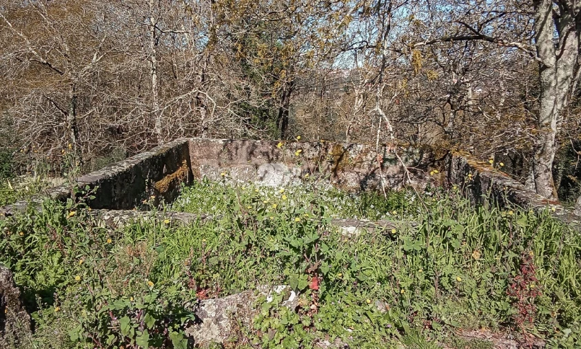 Terreno para Venda em Arnoso (Santa Maria e Santa Eulália) e Sezures Foto 3