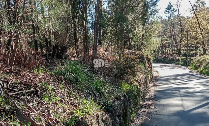 Terreno para Venda em Arnoso (Santa Maria e Santa Eulália) e Sezures Foto 12