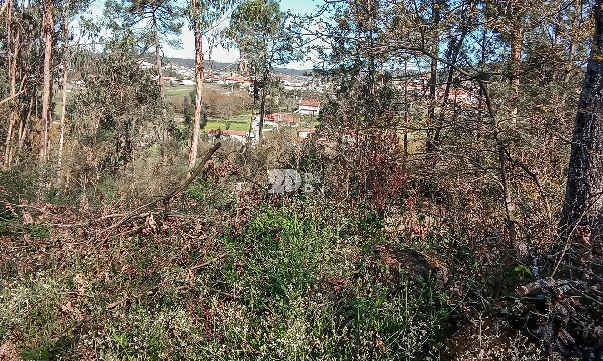 Terreno para Venda em Arnoso (Santa Maria e Santa Eulália) e Sezures Foto 6
