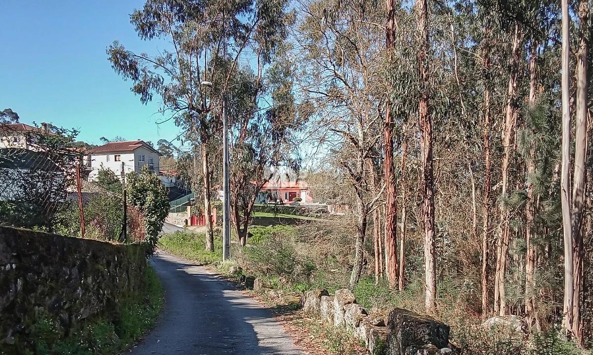 Terreno para Venda em Arnoso (Santa Maria e Santa Eulália) e Sezures Foto 10