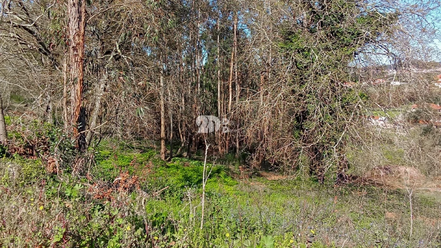 Terreno para Venda em Arnoso (Santa Maria e Santa Eulália) e Sezures