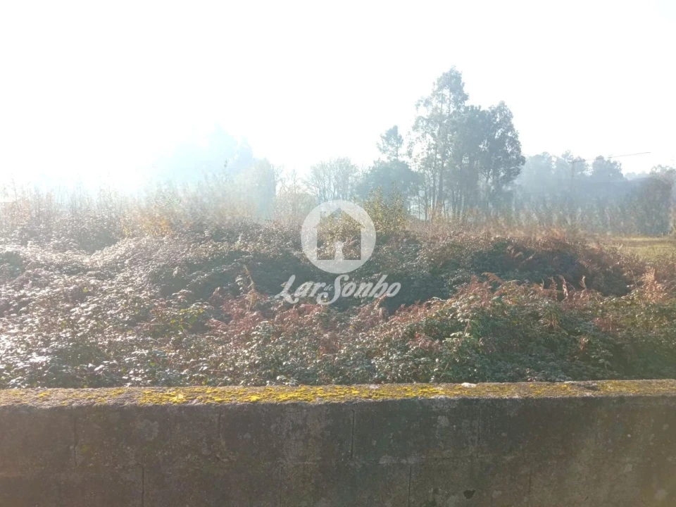 Terreno para Venda em Ucha Foto 3