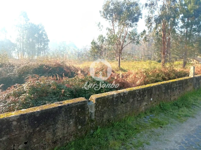 Terreno para Venda em Ucha Foto 1