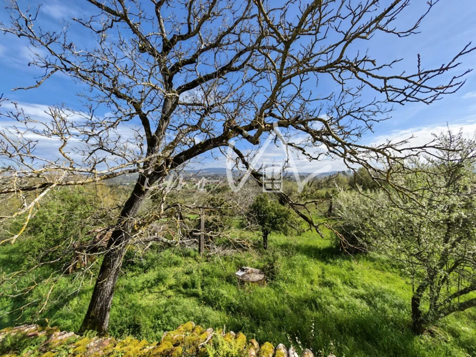 Moradia T3 para Venda em Santiago e São Simão de Litém e Albergaria dos Doze Foto 16