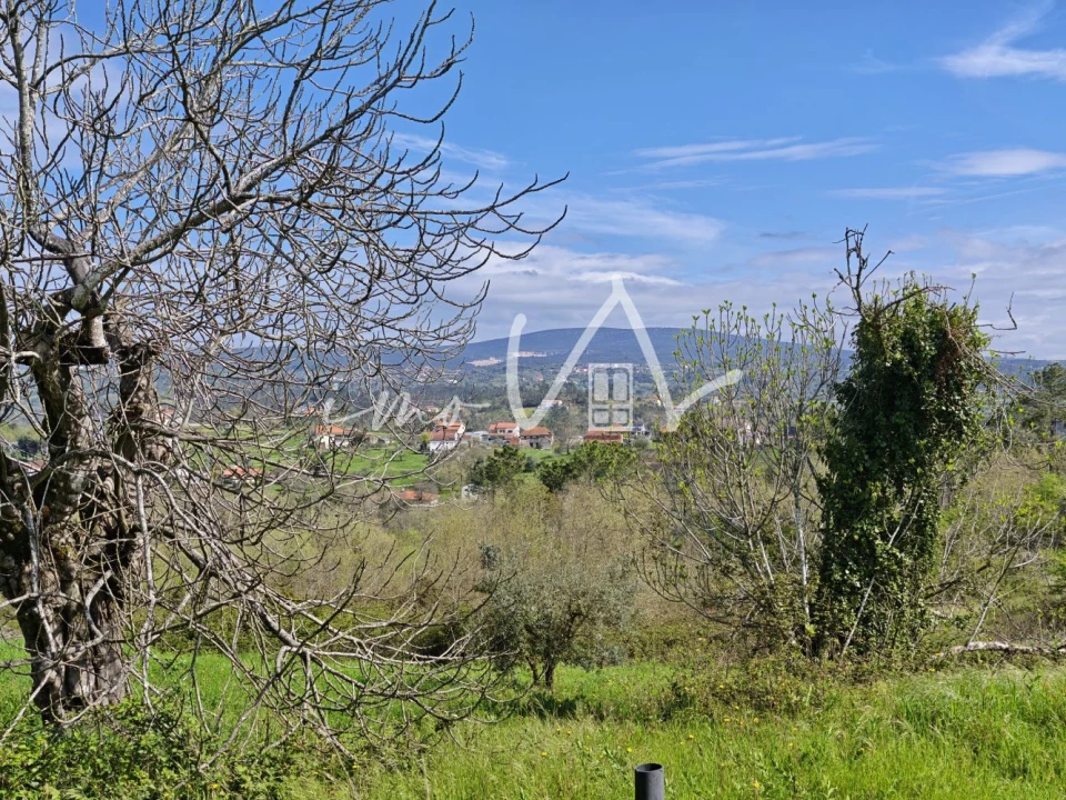 Moradia T3 para Venda em Santiago e São Simão de Litém e Albergaria dos Doze Foto 18