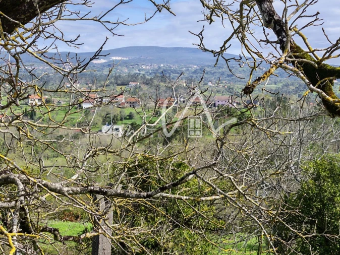 Moradia T3 para Venda em Santiago e São Simão de Litém e Albergaria dos Doze Foto 15