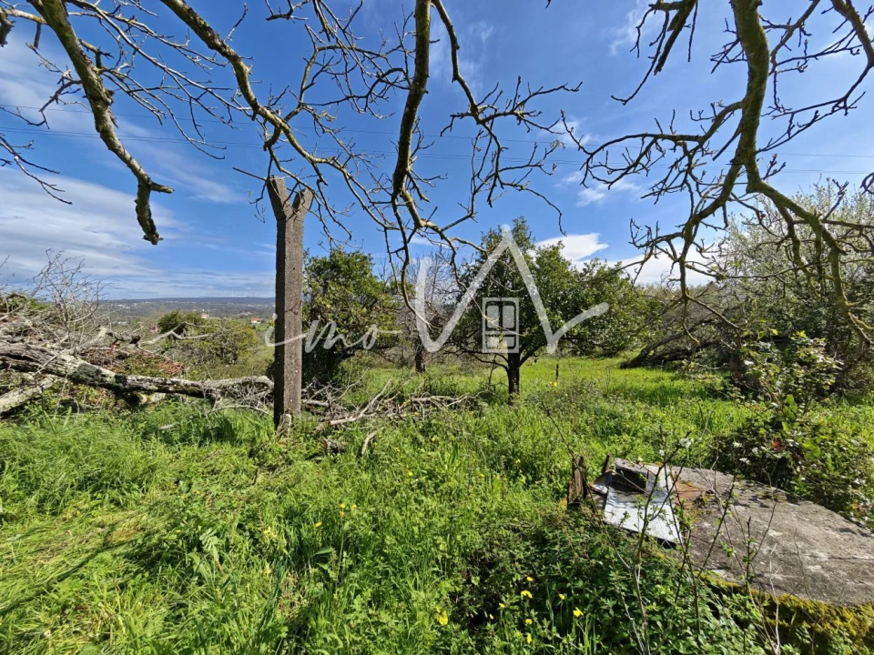 Moradia T3 para Venda em Santiago e São Simão de Litém e Albergaria dos Doze Foto 17