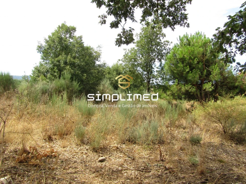 Quinta para Venda em Peraboa Foto 14