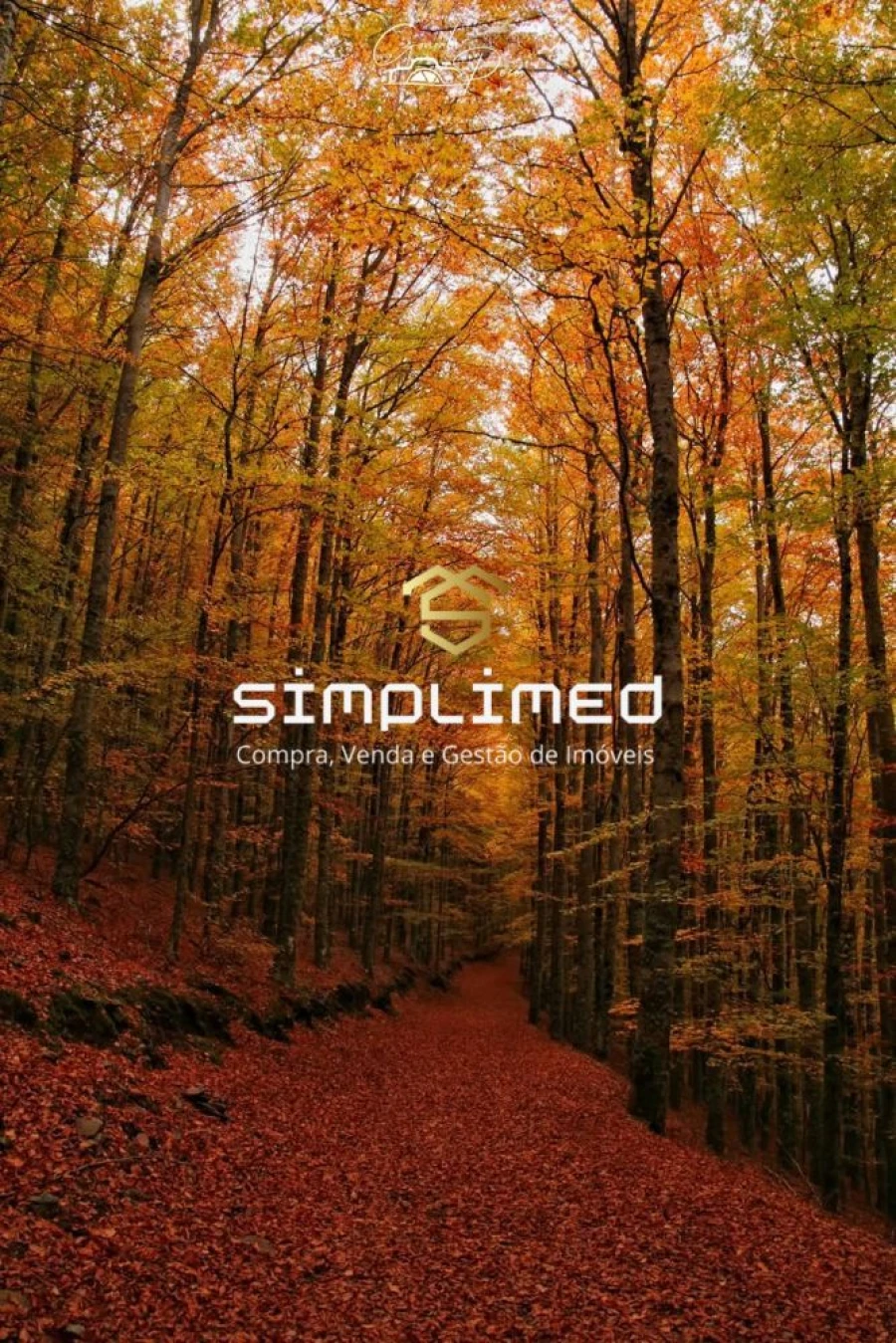 Quinta para Venda em Peraboa Foto 26