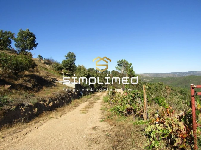 Terreno para Venda em Gonçalo Bocas Foto 18